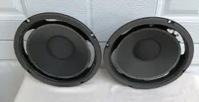 1008 ADVENT Speaker Woofer Need Foaming 1008 ADVENT Speaker Woofer Need Foaming