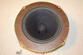 DQ-10 ADVENT Dahlquist Woofer Frame #2