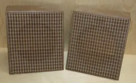 WB-18DS ARGOS Wood Slanted Wall Baffle Speaker Box