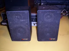 BA-100 ART AUDIO Bookshelf Speakers