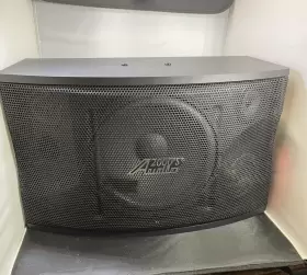 ASP5213 AUDIO Loudspeaker Maximum Single #3 ASP5213 AUDIO Loudspeaker Maximum Single #3