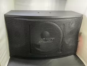 ASP5213 AUDIO Loudspeaker Maximum Single ASP5213 AUDIO Loudspeaker Maximum Single