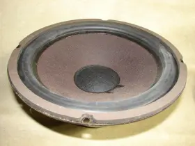 DR116 AVID Woofer Butyl Surrounds DR116 AVID Woofer Butyl Surrounds