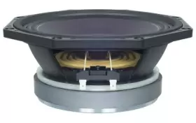 8PE21-8 B-C Studio Subwoofer #2