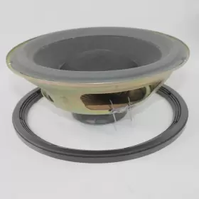 114272 BOSE Interaudio Subwoofer Speaker Ring Tests #2