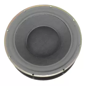 114272 BOSE Interaudio Subwoofer Speaker Ring Tests