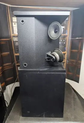 301III BOSE Reflecting Speakers #2
