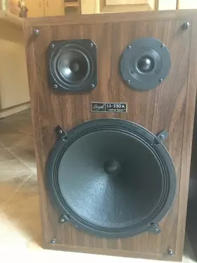 250A BOZAK Speakers Ls Looks Great #2 250A BOZAK Speakers Ls Looks Great #2