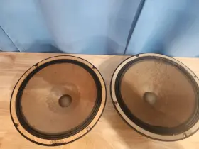 5E209023 BOZAK Woofers