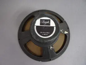 B-199 BOZAK Speaker