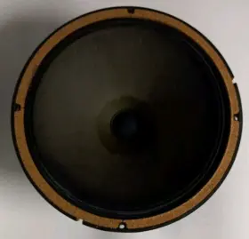 B-199AC BOZAK Woofer Speaker #2