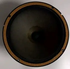B-199AC BOZAK Woofer Speaker