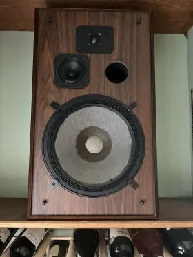 DMS-4500 BOZAK Speakers