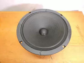 10K50A4 BUGERA Dual Cone Woofer Great