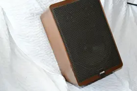 KARAT-100 CANTON Single Speaker KARAT-100 CANTON Single Speaker