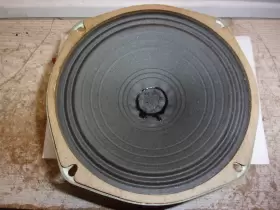 76P029 CARBONEAU Alnico Speaker