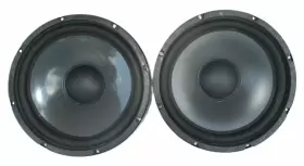 719845 CARBONNEAU Poly Cone Woofer Speakers Refoamed
