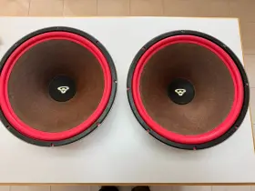 15W5 CERWIN-VEGA Speakers