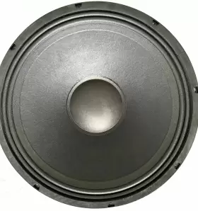 WOFP18307 CERWING VEGA Speaker #3