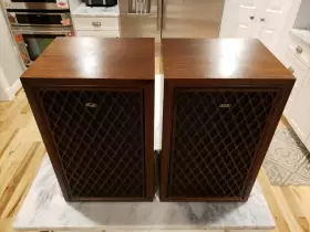 BX-1001 CORAL Bookshelf Speakers Sound Great #3