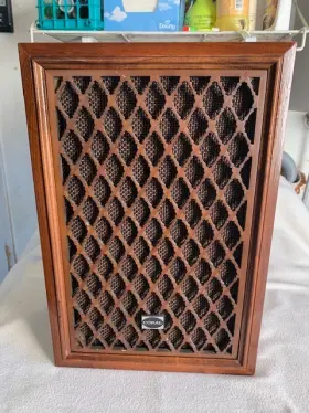BX-606 CORAL Speaker Light Scratches Wood Grain BX-606 CORAL Speaker Light Scratches Wood Grain