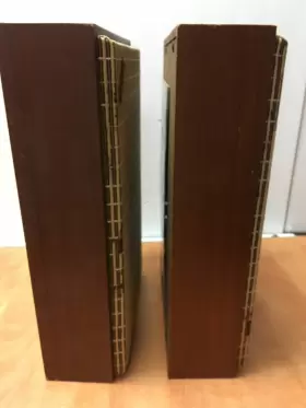 40-1285C CORAL CABINET WITH REALISTIC SPEAKERS Speaker Set #2
