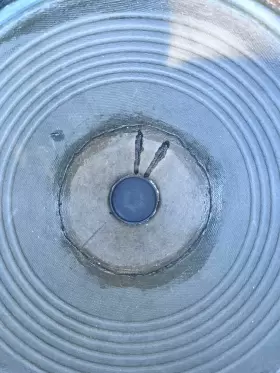 108498 CTS Speaker #2