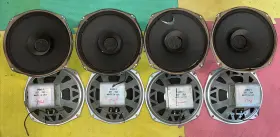 14892-5 CTS Tubespeaker Recone Tube Amp Speaker 14892-5 CTS Tubespeaker Recone Tube Amp Speaker