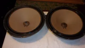 1517 CTS Ampeg Woofers Alnico
