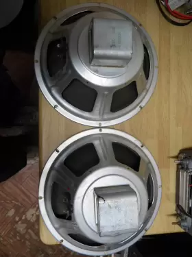 655956 CTS Alnico Woofer #2