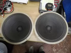 655956 CTS Alnico Woofer