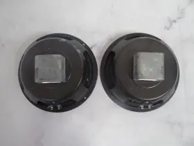 QW-1002 CTS Woofer Alnico Magnet