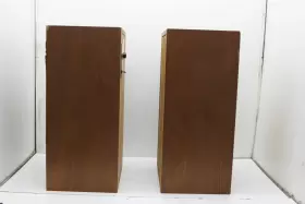 LS-55 CUSTOM MUSIC Floor Speakers #2