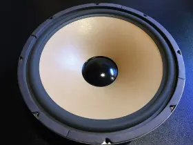 MPW15890818 DBX Subwoofer Speaker Driver