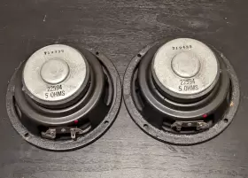 22594 DCM Woofer Speaker Macrophone #2