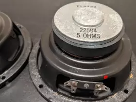 22594 DCM Woofer Speaker Macrophone #3