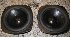 P10030 DESIGN ACOUSTICS Midrange Point Loudspeaker