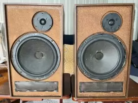 A-25VW DYNACO Speakers