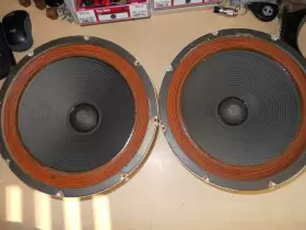 XAM-3D EJ KORVETTE XAM Alnico Speaker #3