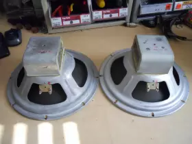 XAM-3D EJ KORVETTE XAM Alnico Speaker