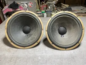 14-1802-7787 ELECTRO-VOICE Aires Alnico Woofer