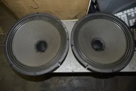 67-7624 EMINENCE Speaker Steel Guitar