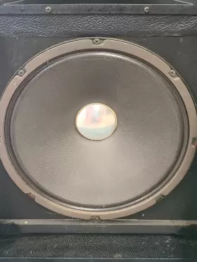 1-12HF FENDER Hf Speaker Beauty #3