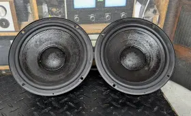 6M111 FOCAL Bass Woofers Jm Labs Symbol Speakers 6M111 FOCAL Bass Woofers Jm Labs Symbol Speakers