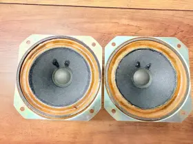SP-10F5 FOSTER Alnico Speaker