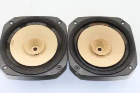 FE166E FOSTEX Speakers FE166E FOSTEX Speakers