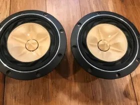 FE168EZ FOSTEX Speakers