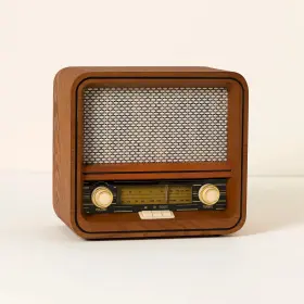 RAD-V1 FUSE Wood Speaker Bluetooth Radio