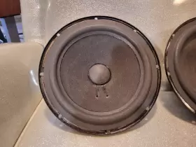 L200B GENESIS Epi Epicure Woofer Foa #2
