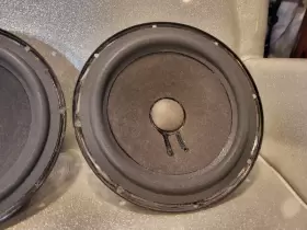 L200B GENESIS Epi Epicure Woofer Foa #3